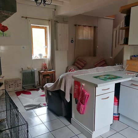 Le Petit Verger, 1 Impasse De La Fenouillere 61330 Ceauce Luaran gambar